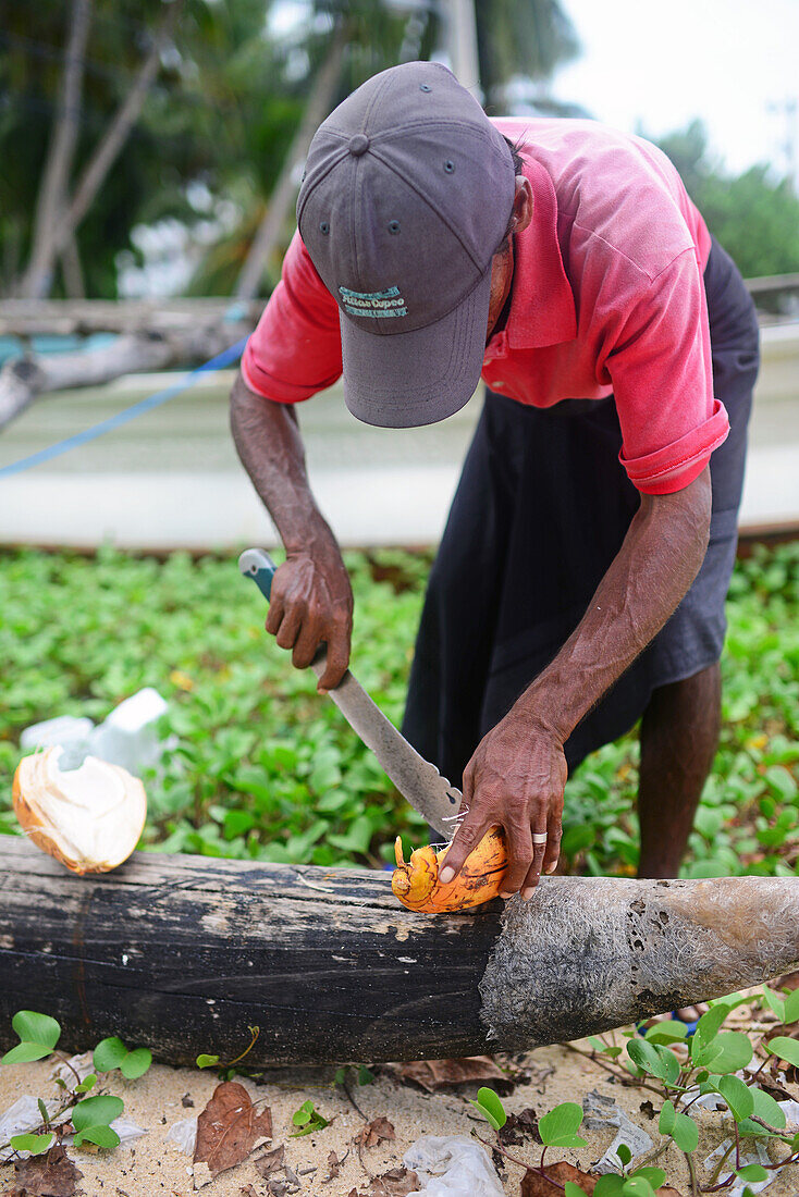 Kokosnussverkäufer schneidet die Kokosnuss am Strand von Unawatuna, Sri Lanka