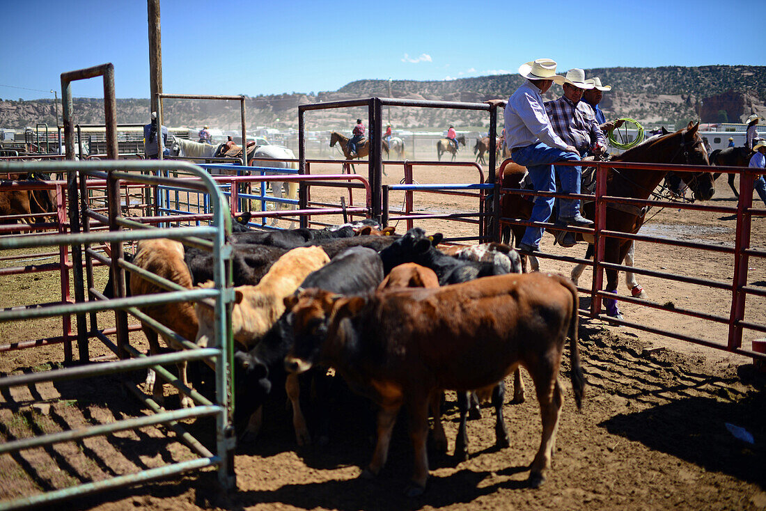 Rodeo competition during Navajo Nation Fair, a world-renowned event that showcases Navajo Agriculture, Fine Arts and Crafts, with the promotion and preservation of the Navajo heritage by providing cultural entertainment. Window Rock, Arizona.