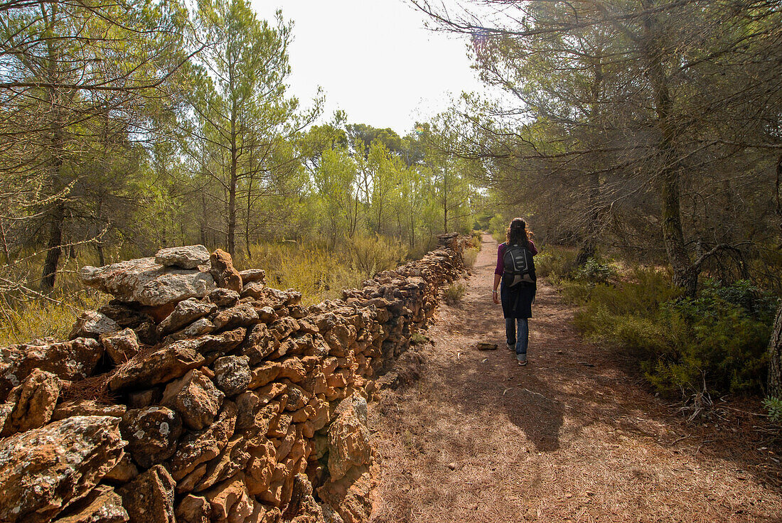 Rural area of Formentera, Spain