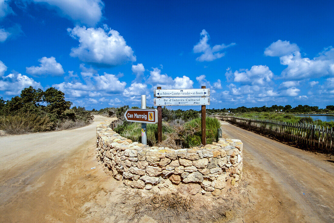 Straße nach Can Marroig auf Formentera