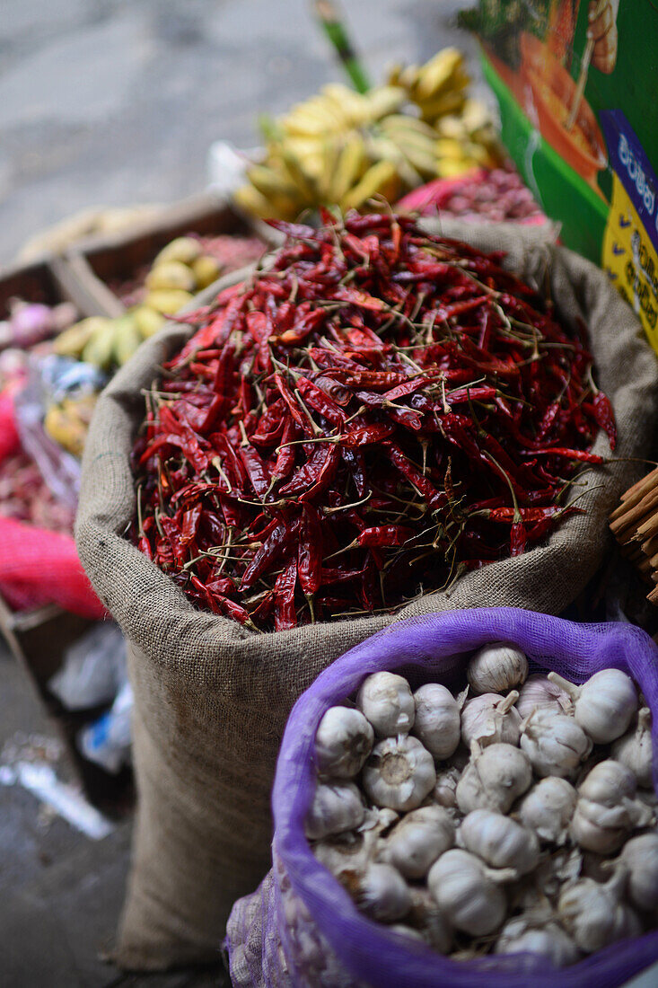 Rote Paprikaschoten und Knoblauch in einem Gewürzladen, Galle, Sri Lanka