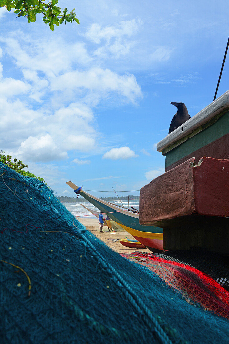 Schwarzer Vogel auf traditionellem Fischerboot und Netzen in Weligama, Sri Lanka