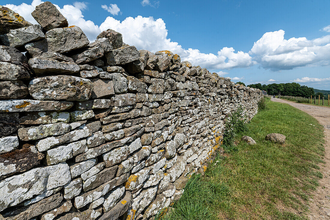 Steinmauer in den Yorkshire Dales, England