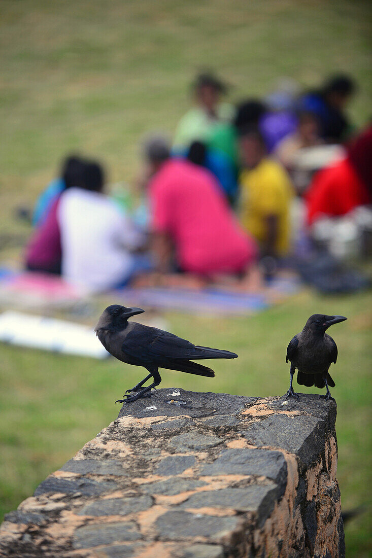 Schwarze Krähen und eine Gruppe von Menschen im Fort von Galle, Sri Lanka