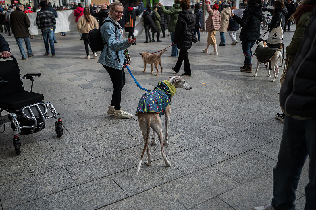 Thousands of people demonstrate in Spain to demand an end to hunting with dogs, Zaragoza, Spain