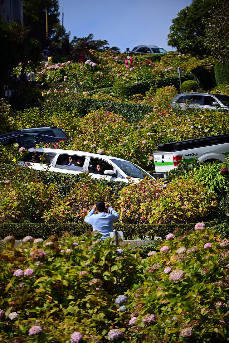 Beliebte Lombard Street in San Francisco, eine Straße zwischen Ost und West, die für einen steilen Block mit acht Haarnadelkurven bekannt ist