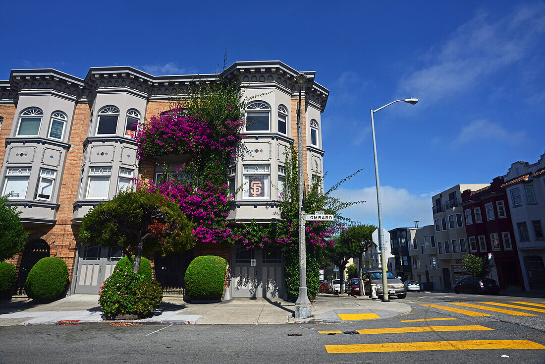 Lila Blumen an einem Gebäude in der Lombard Street, San Francisco