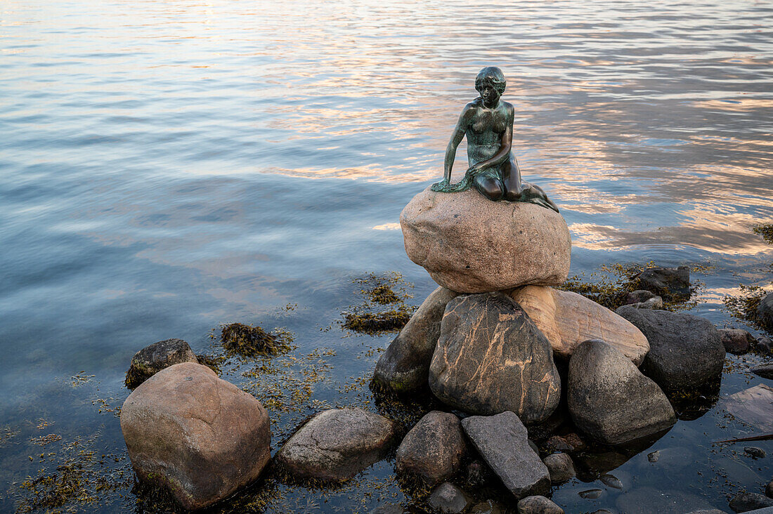 The Little Mermaid Statue at day time in Copenhagen Denmark