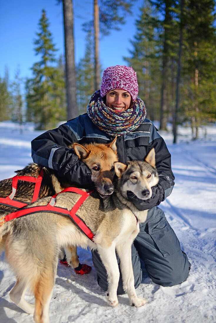 Young woman receives love from friendly dogs. Wilderness husky sledding taiga tour with Bearhillhusky in Rovaniemi, Lapland, Finland