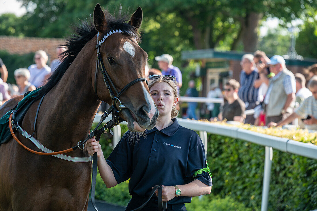 Rennpferd in Ripon Races England 2023