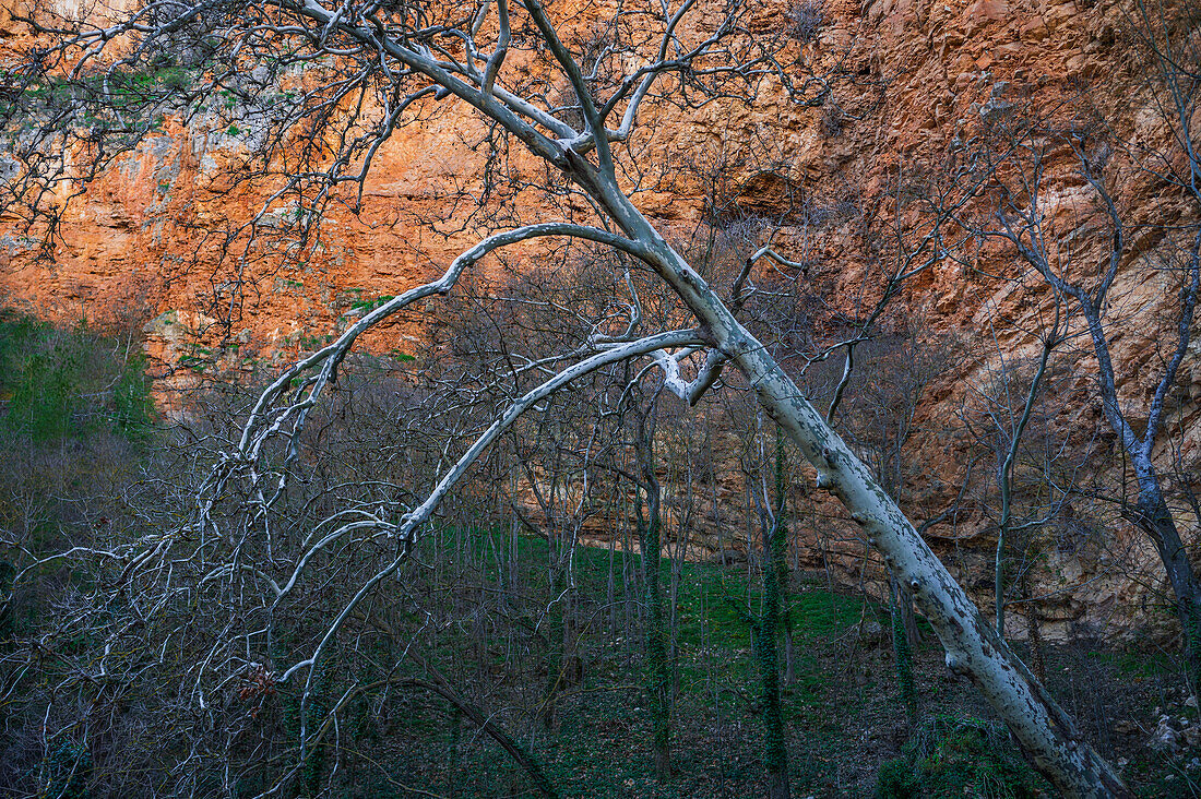 Monasterio de Piedra Natural Park, located around the Monasterio de Piedra (Stone Monastery) in Nuevalos, Zaragoza, Spain