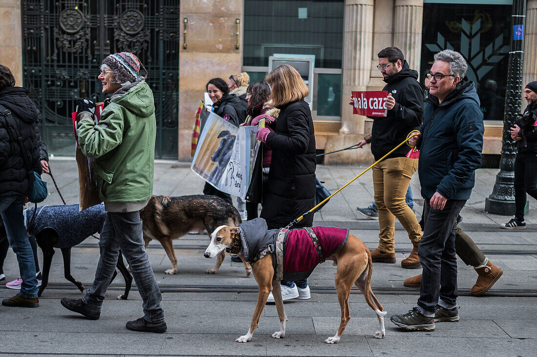 Tausende von Menschen demonstrieren in Spanien, um ein Ende der Jagd mit Hunden zu fordern, Zaragoza, Spanien