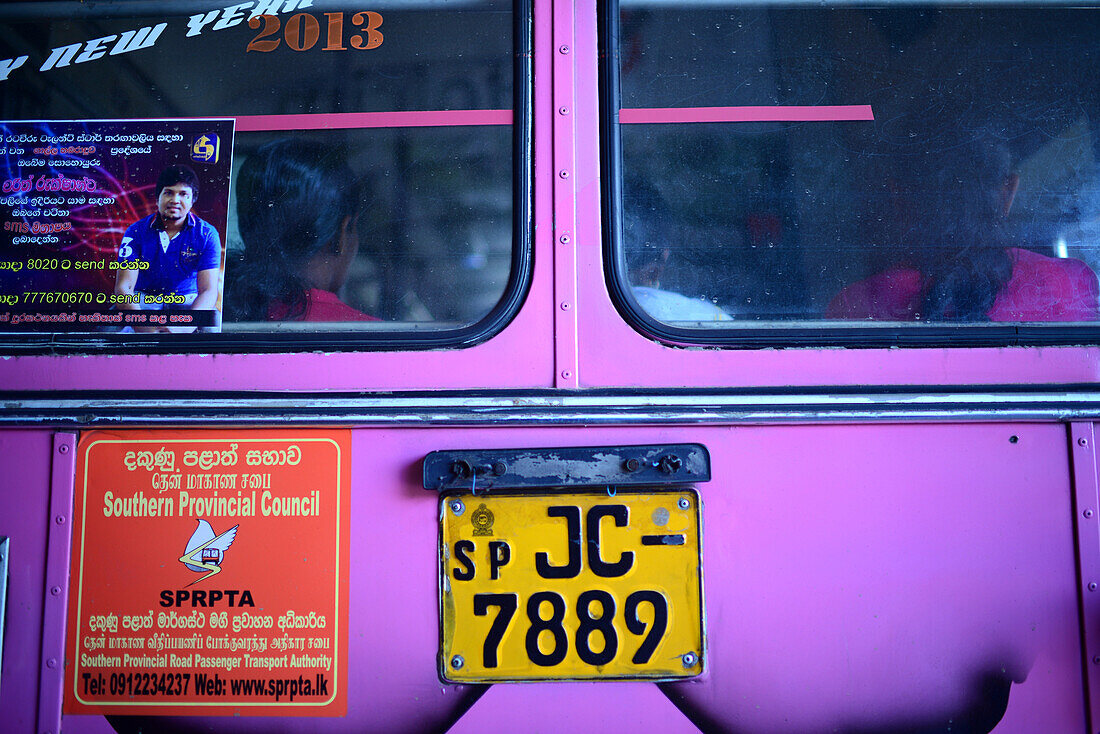 Rückseite eines violetten Linienbusses, Galle, Sri Lanka