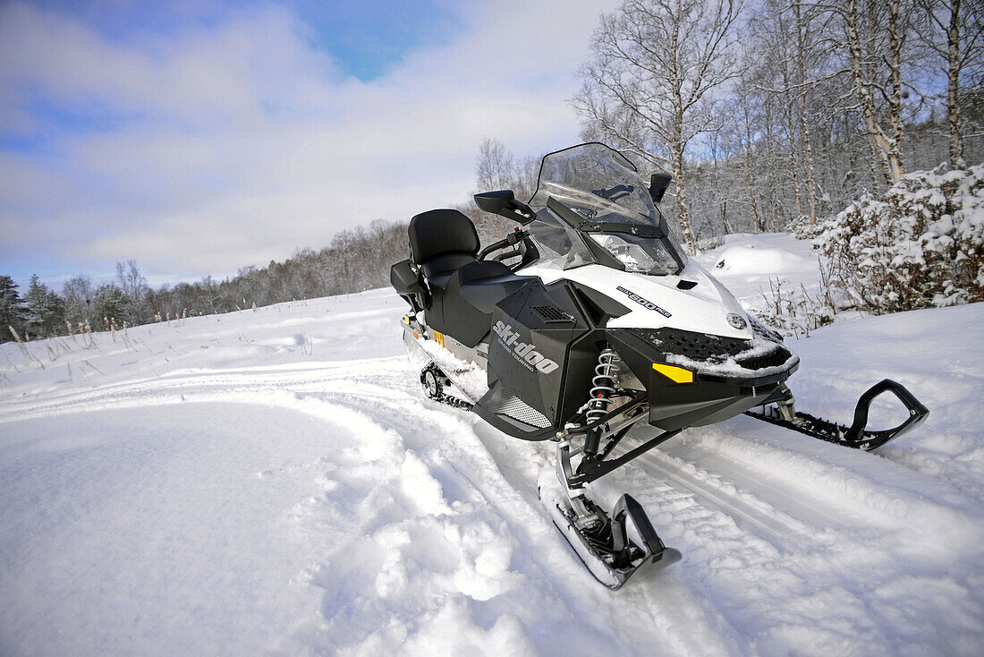 Schneemobilerlebnis durch die Wildnis des Inari-Sees mit VisitInari, Lappland, Finnland