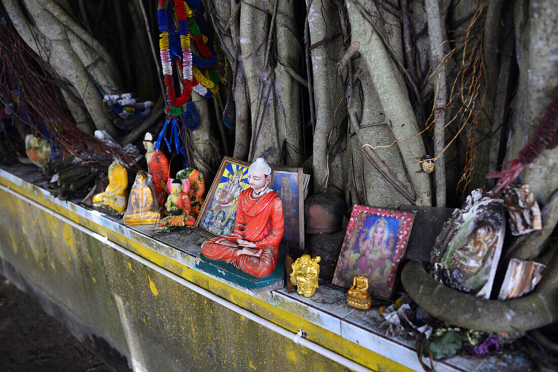 Buddhistischer Straßenaltar in Weligama, Sri Lanka