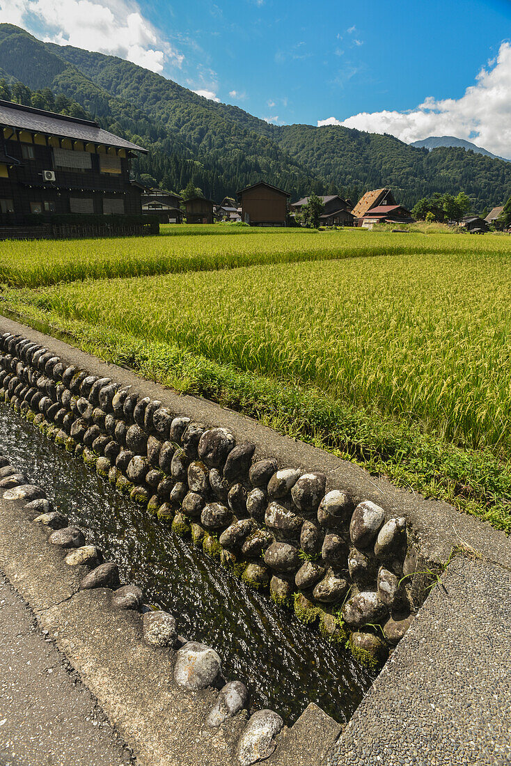 Shirakawa-go, traditionelles Dorf, das einen als gassho-zukuri bekannten Baustil zeigt, Präfektur Gifu, Japan