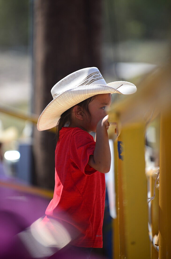 Rodeo-Wettbewerb während der Navajo Nation Fair, einer weltbekannten Veranstaltung, die die Landwirtschaft, die Kunst und das Kunsthandwerk der Navajo vorstellt und durch kulturelle Unterhaltung das Erbe der Navajo fördert und bewahrt. Window Rock, Arizona