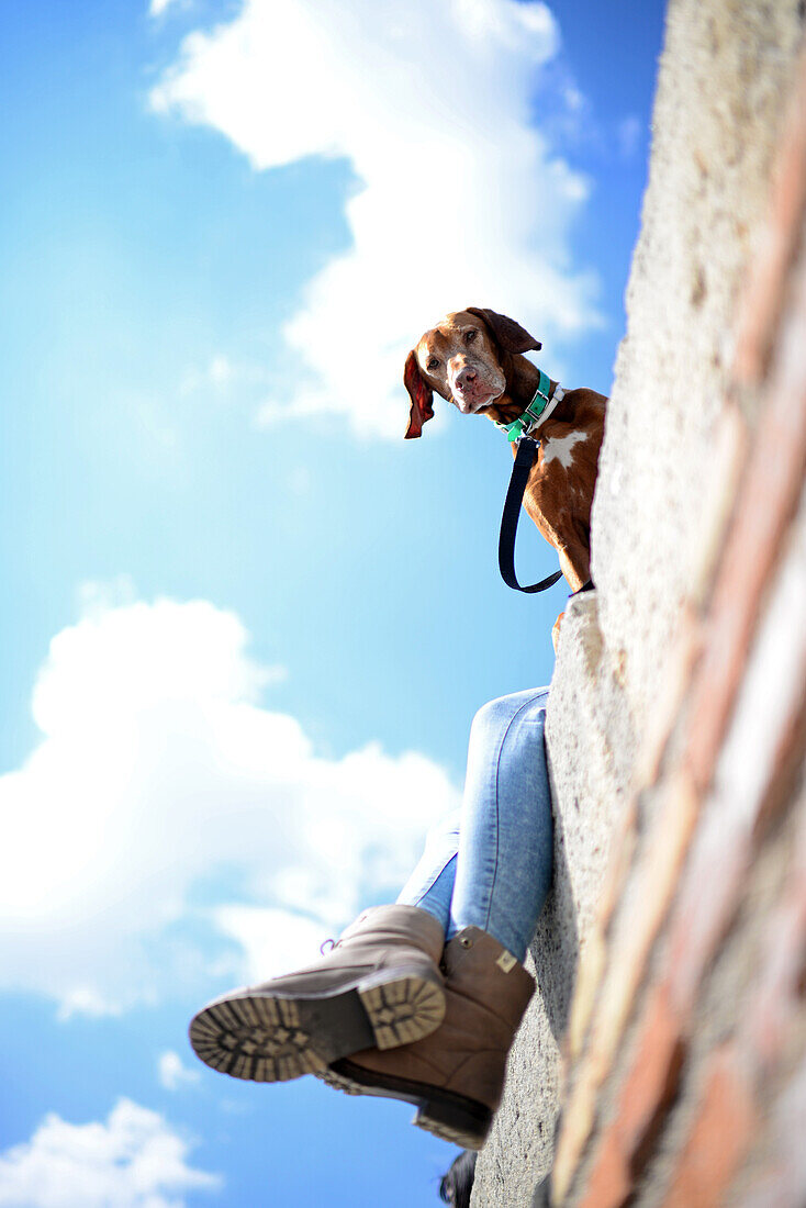 Brauner Hund mit Besitzerin am Mirador de San Nicolas (Aussichtspunkt San Nicolas) im Albaicin-Viertel, dem alten maurischen Viertel auf der anderen Seite des Flusses Darro gegenüber der Alhambra