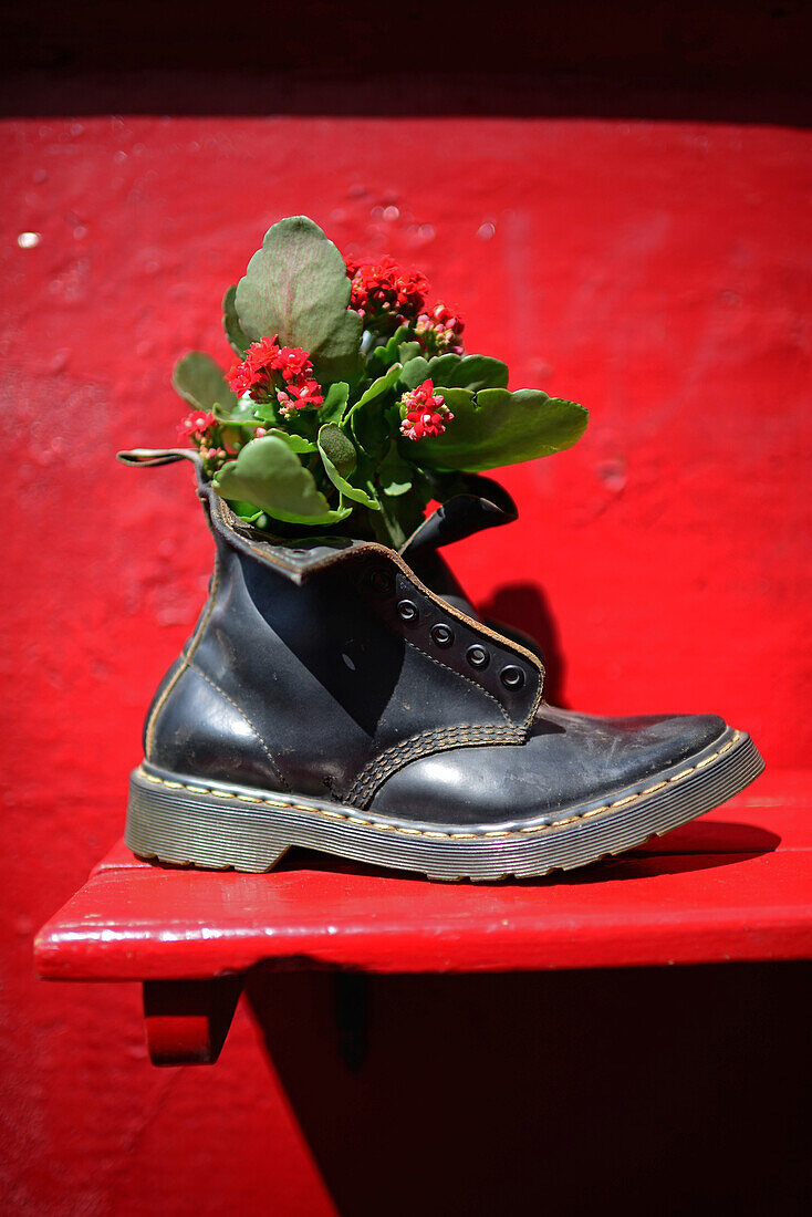 Flowers in boot outside a restaurant in The Albaicin Quarter, old Moorish quarter across the River Darro from the Alhambra, Granada, Spain