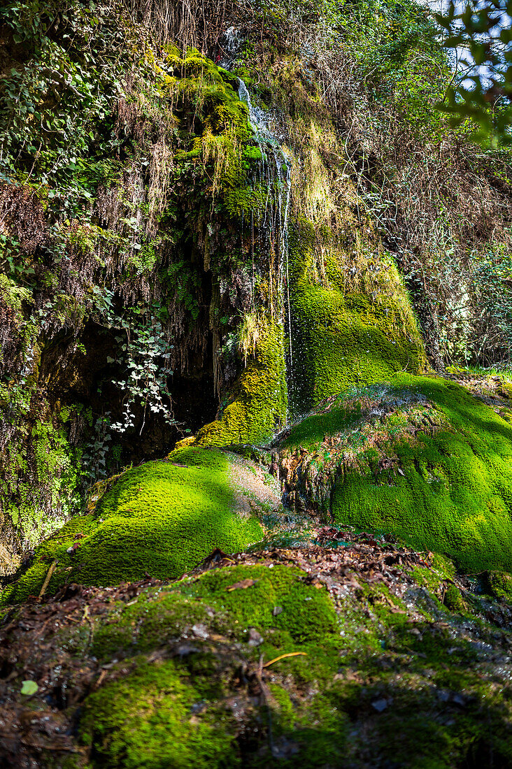 Naturpark Monasterio de Piedra, rund um das Monasterio de Piedra (Steinkloster) in Nuevalos, Zaragoza, Spanien