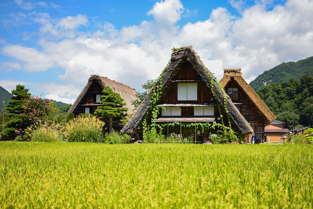 Shirakawa-go, traditionelles Dorf, das einen als gassho-zukuri bekannten Baustil zeigt, Präfektur Gifu, Japan