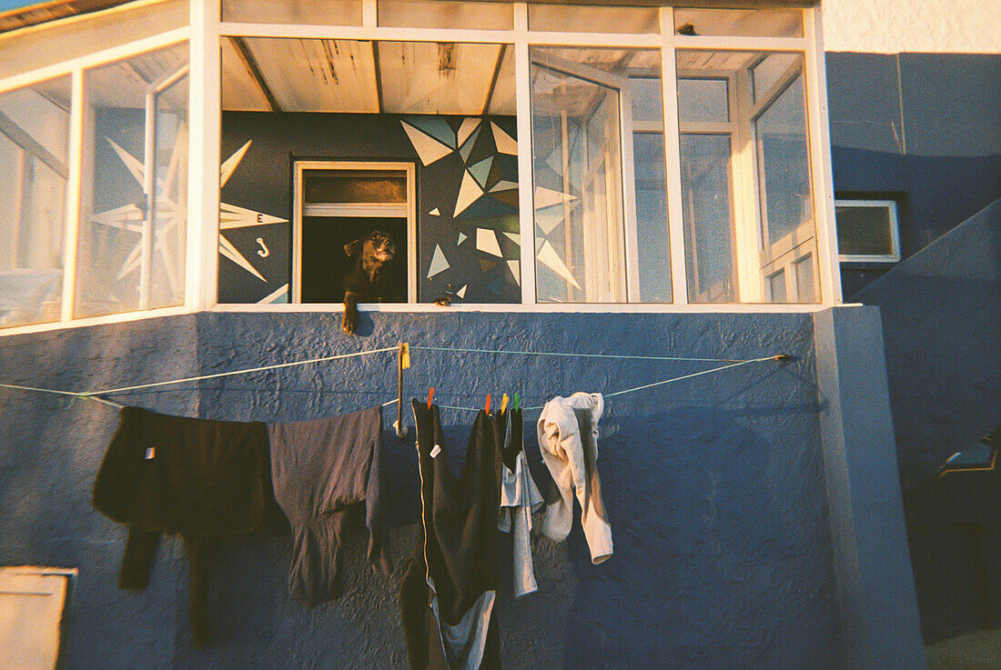 Analogfotografie eines Hundes im Fenster und eines Wäschetrockners im Haus, Peniche, Portugal