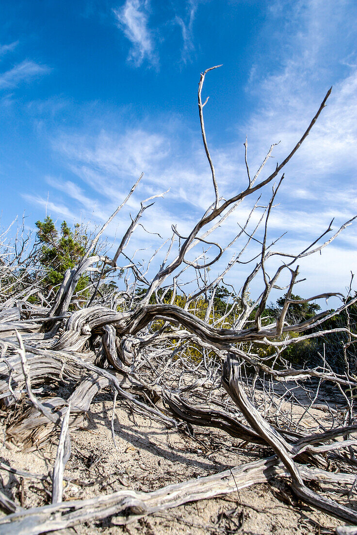 Espalmador, eine kleine Insel im Norden von Formentera, Balearen, Spanien