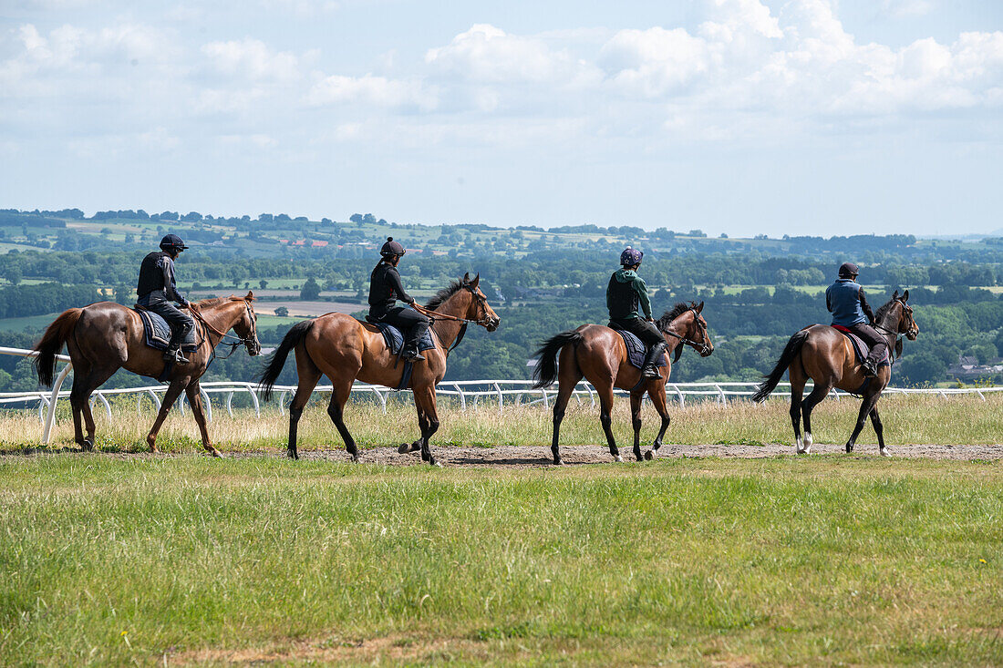 Rennpferdetraining in Middleham Gallops in England 2023