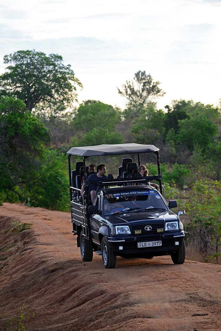 Safari-Jeep im Udawalawe-Nationalpark, an der Grenze zwischen den Provinzen Sabaragamuwa und Uva, Sri Lanka