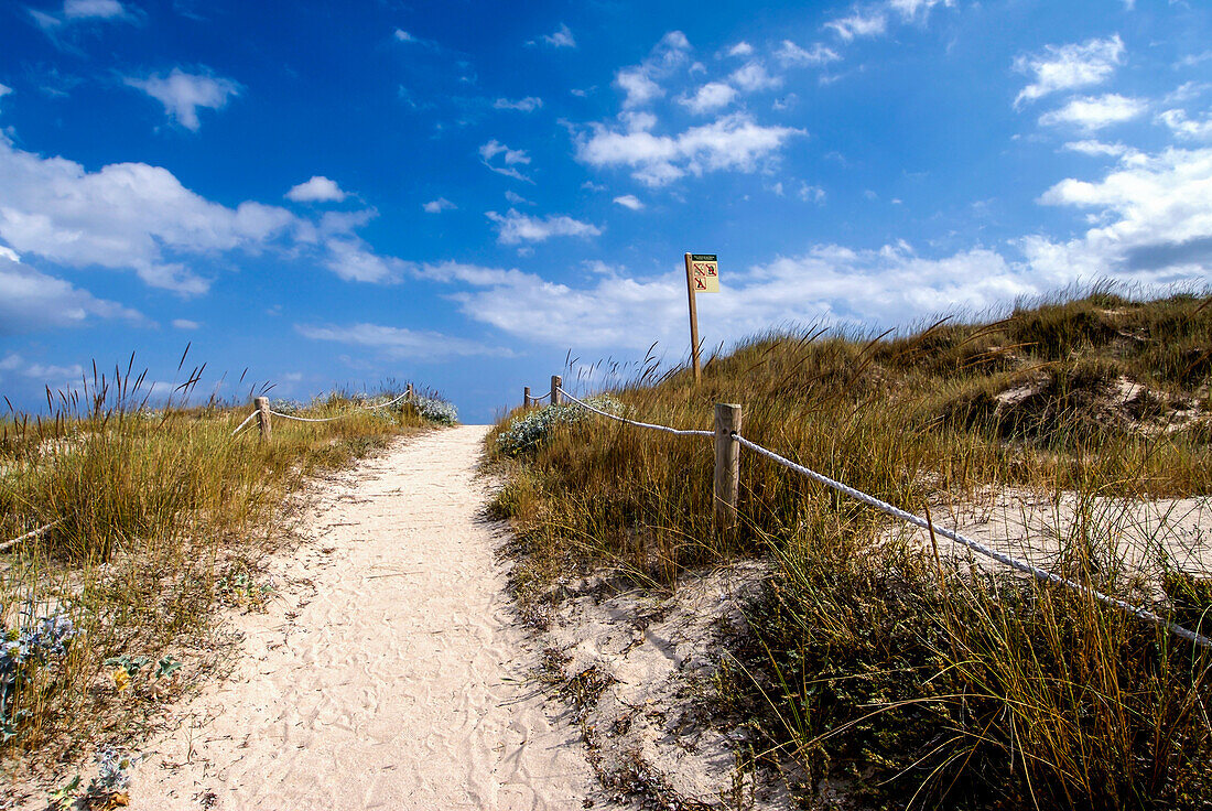 Llevant beach in Formentera