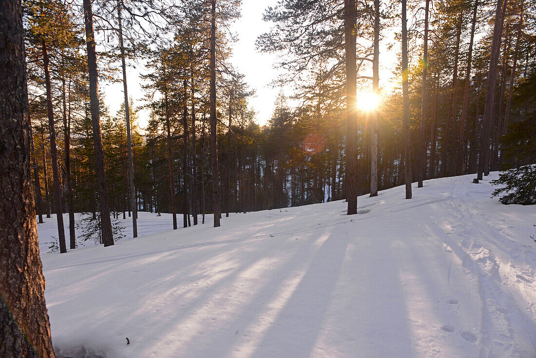 Pyh? Naturreservat bei Sonnenuntergang, Finnland