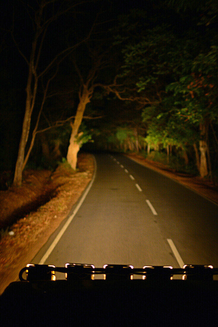 After a wild elephant alarm in the village, jeep uses long lights at night in Sigiriya, Sri Lanka