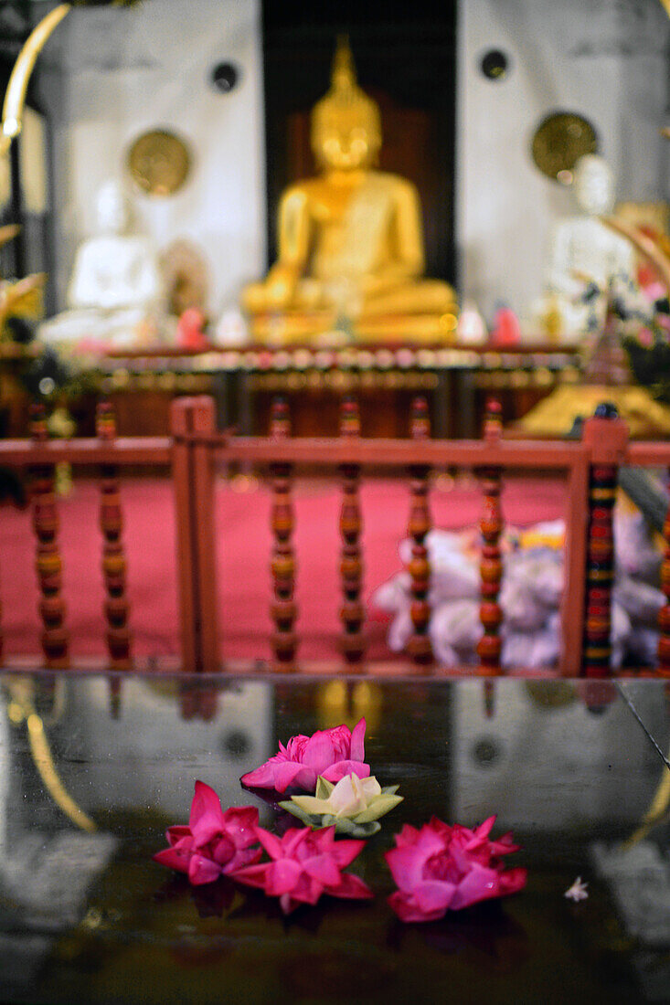 Goldene Buddha-Statue im Inneren des Tempels der heiligen Zahnreliquie, Kandy, Sri Lanka,