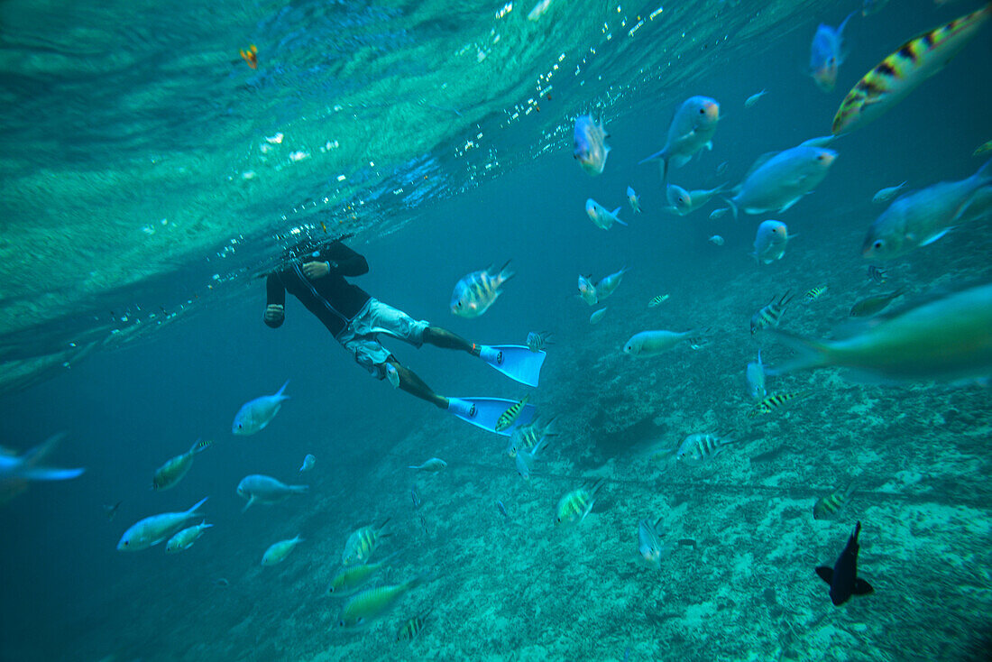 Snorkeling in Ishigaki, Okinawa Prefecture, Japan