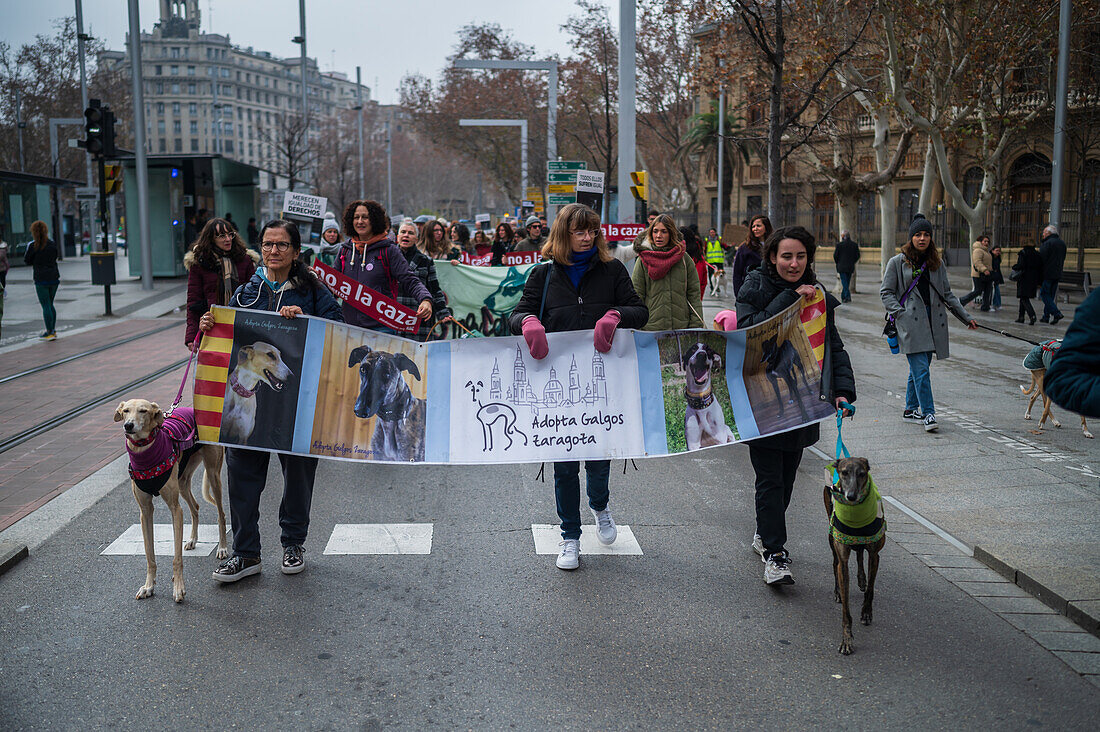 Tausende von Menschen demonstrieren in Spanien, um ein Ende der Jagd mit Hunden zu fordern, Zaragoza, Spanien