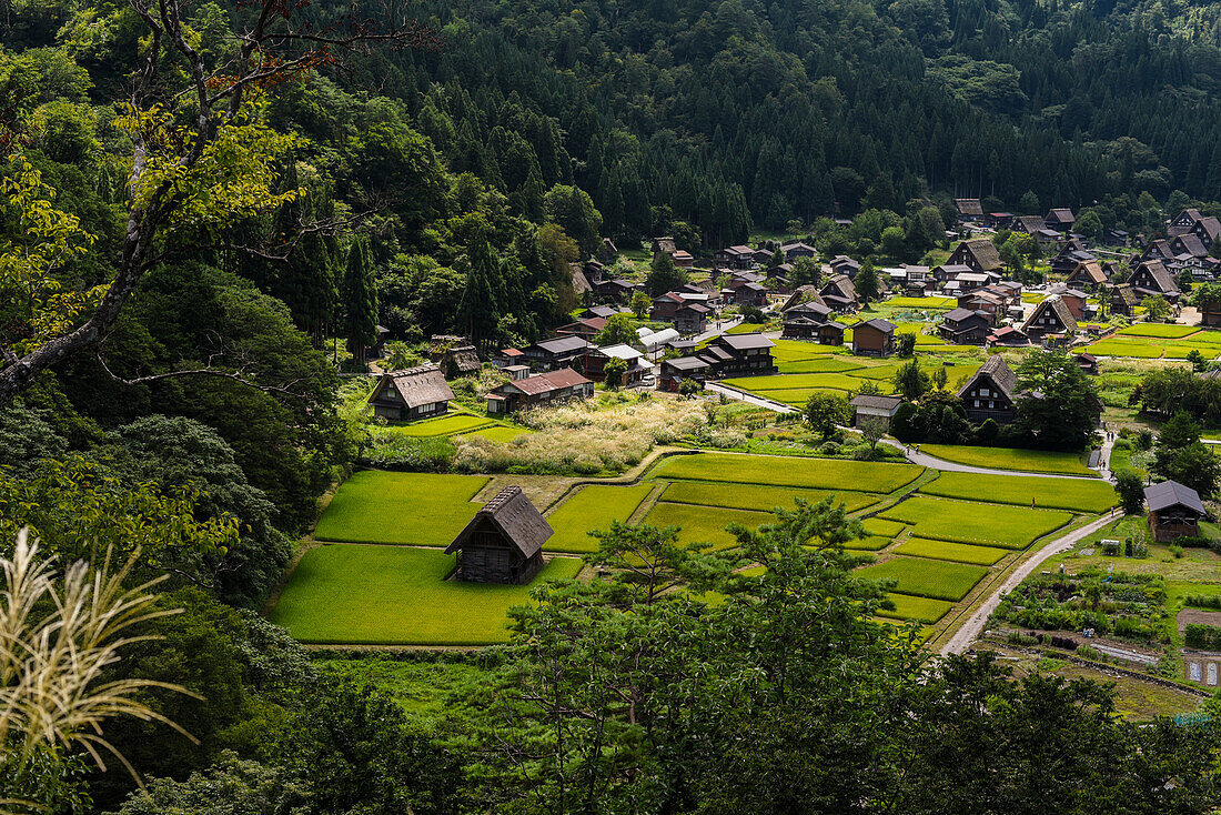 Shirakawa-go, traditional village showcasing a building style known as gassho-zukuri, Gifu Prefecture, Japan