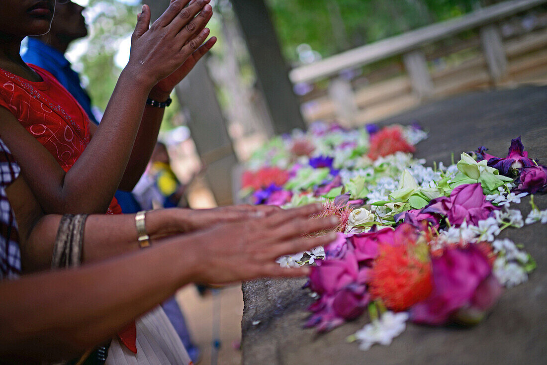 Betende Menschengruppe vor der Samadhi-Buddha-Statue in Anuradhapura, Sri Lanka