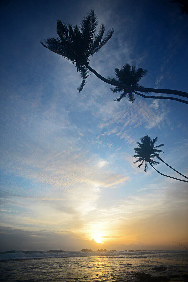 Strand von Hikkaduwa bei Sonnenuntergang, Sri Lanka