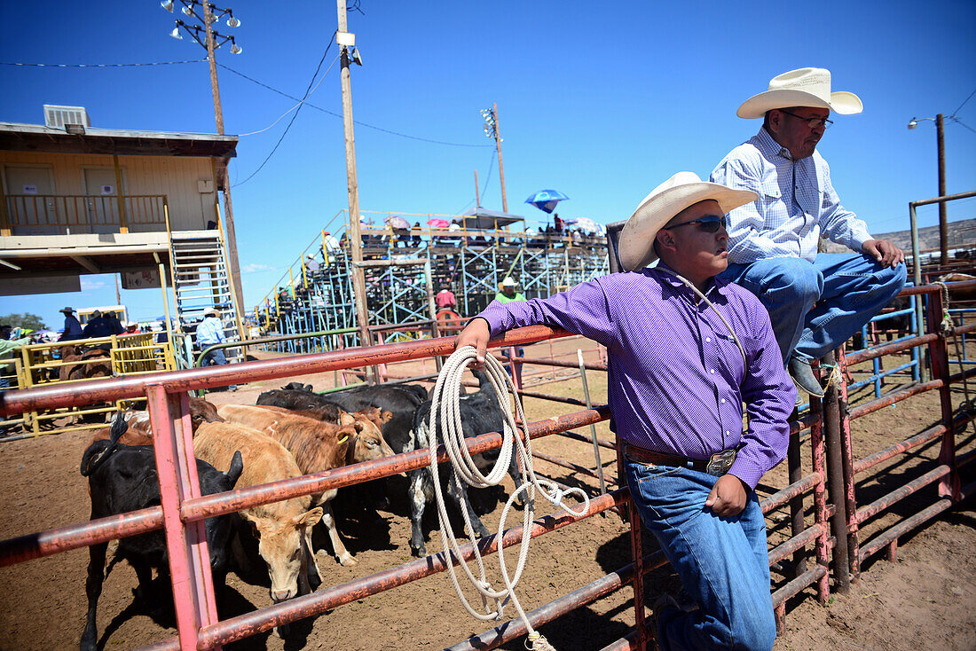 Rodeo-Wettbewerb während der Navajo Nation Fair, einer weltbekannten Veranstaltung, die die Landwirtschaft, die Kunst und das Kunsthandwerk der Navajo vorstellt und durch kulturelle Unterhaltung das Erbe der Navajo fördert und bewahrt. Window Rock, Arizona