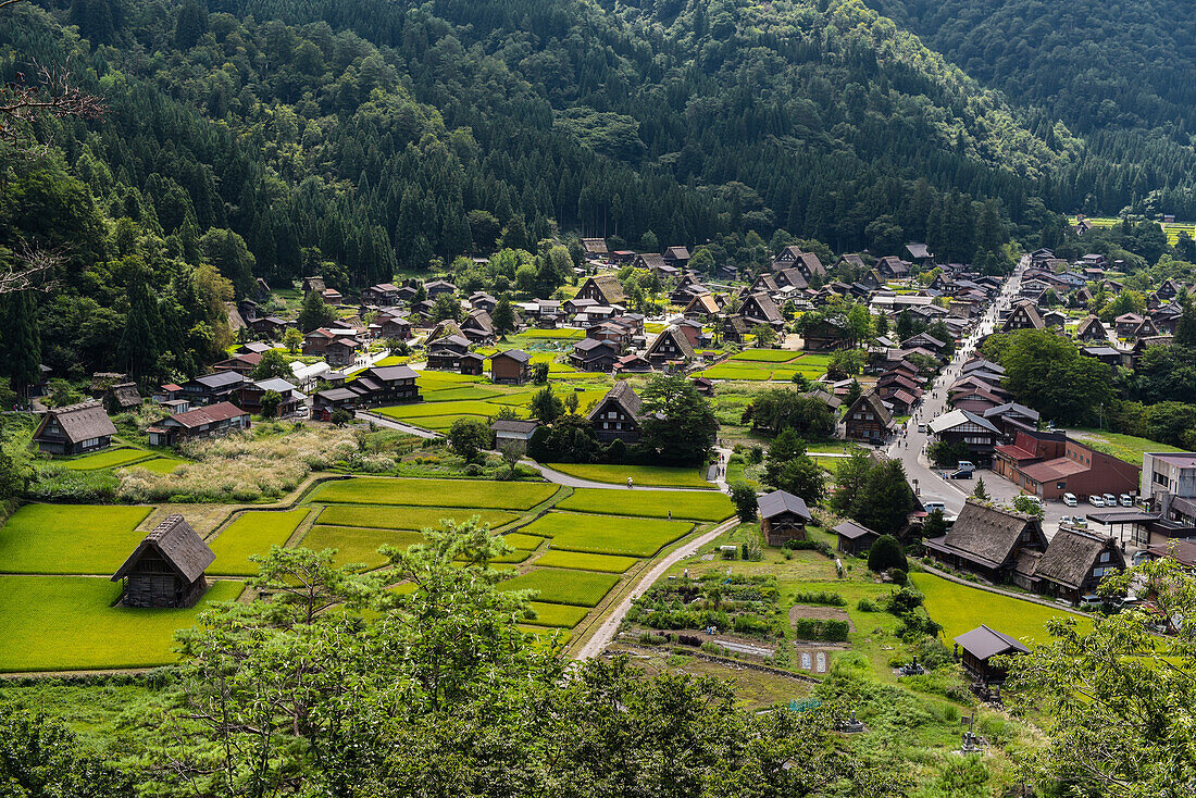 Shirakawa-go, traditional village showcasing a building style known as gassho-zukuri, Gifu Prefecture, Japan