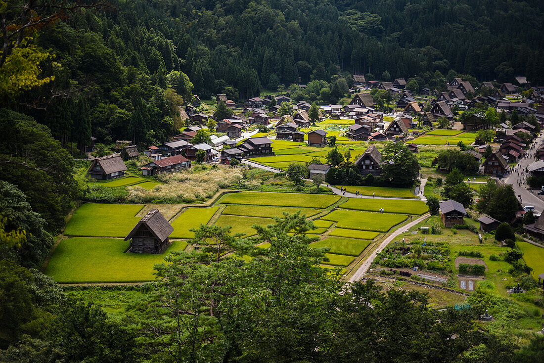 Shirakawa-go, traditional village showcasing a building style known as gassho-zukuri, Gifu Prefecture, Japan