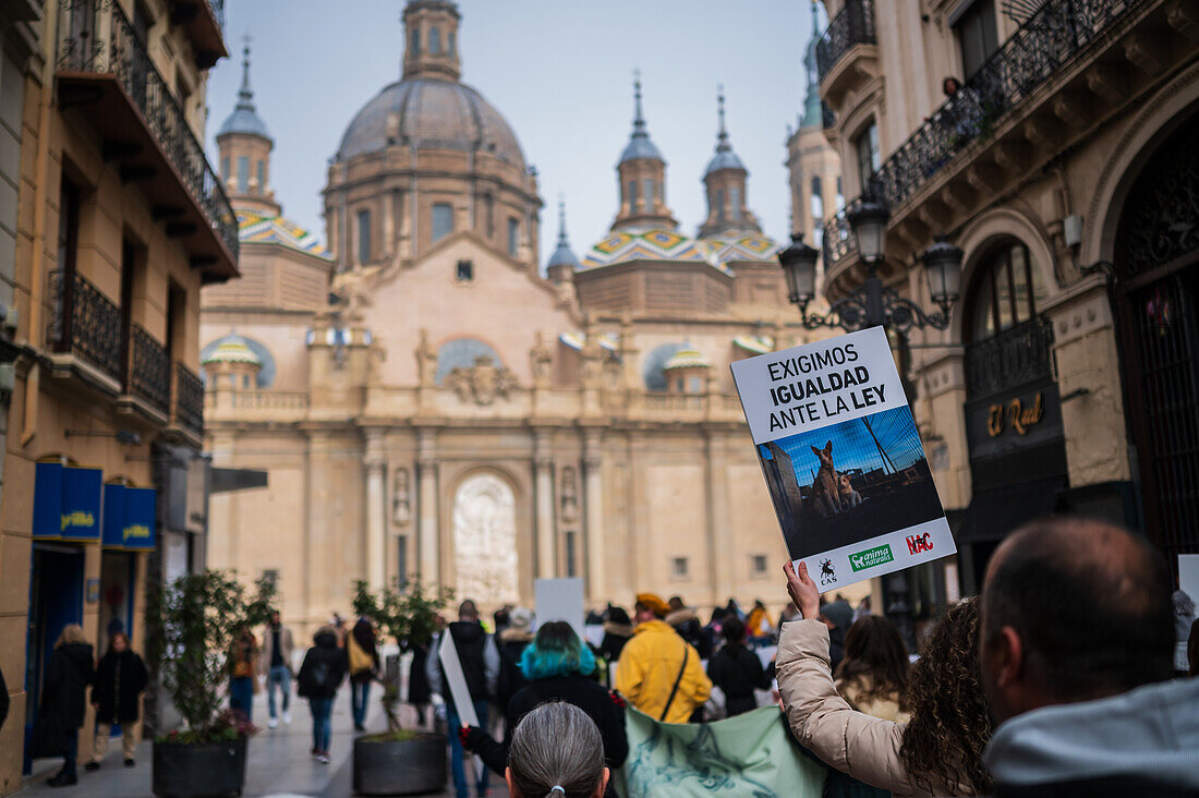 Thousands of people demonstrate in Spain to demand an end to hunting with dogs, Zaragoza, Spain