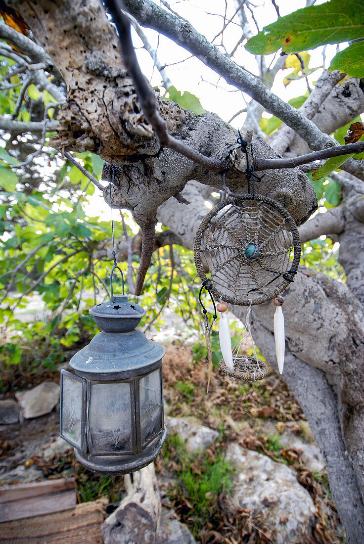 Traumfänger und Lampe auf einem Baum in Formentera