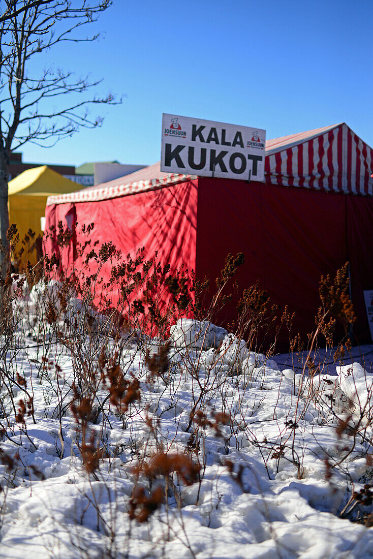 Street Market in Rovaniemi, Lapland, Finland