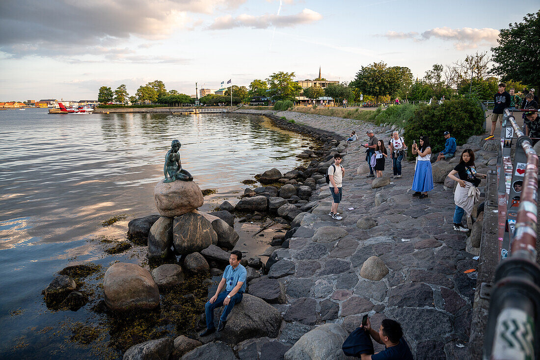 The Little Mermaid Statue at day time in Copenhagen Denmark