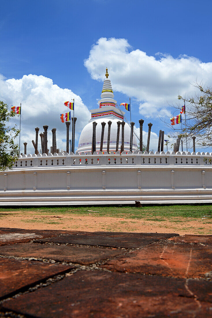 Hand eines Reiseführers zeigt Foto von Thuparamaya, Anuradhapura, Sri Lanka