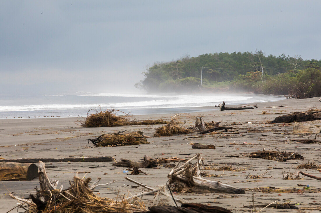 One of the regions most affected by armed conflict and violence generated by drug trafficking, criminal gangs, and insurgent groups is the South Colombian Pacific. And one of the most representative municipalities in this region is the port of San Andrés de Tumaco.