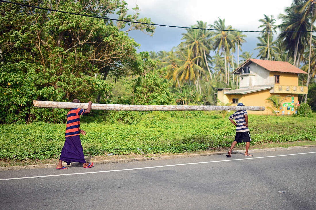 Zwei Männer tragen einen Baumstamm auf der Straße, Peraliya, Sri Lanka