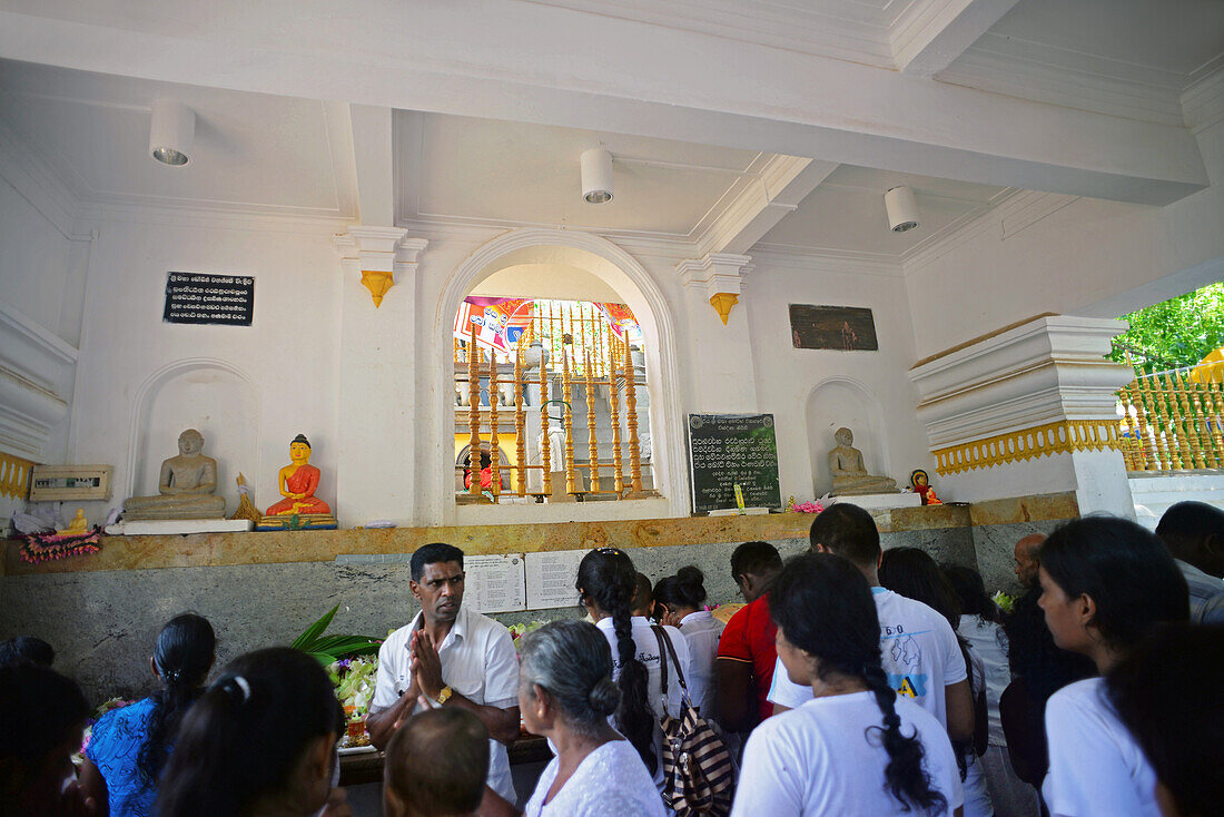 Der Sri-Maha-Bodhi-Tempel in Anuradhapura. Der Sri Maha Bodhi ist angeblich der älteste und am längsten überlebende Baum der Welt, der aus einem Zweig des Bodhi-Baums in Bodh Gaya, Indien, wuchs, wo Siddhartha Gautama die Erleuchtung erlangte.