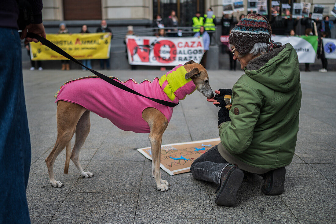 Tausende von Menschen demonstrieren in Spanien, um ein Ende der Jagd mit Hunden zu fordern, Zaragoza, Spanien